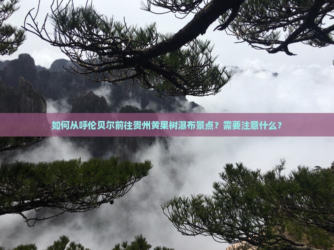 如何从呼伦贝尔前往贵州黄果树瀑布景点？需要注意什么？