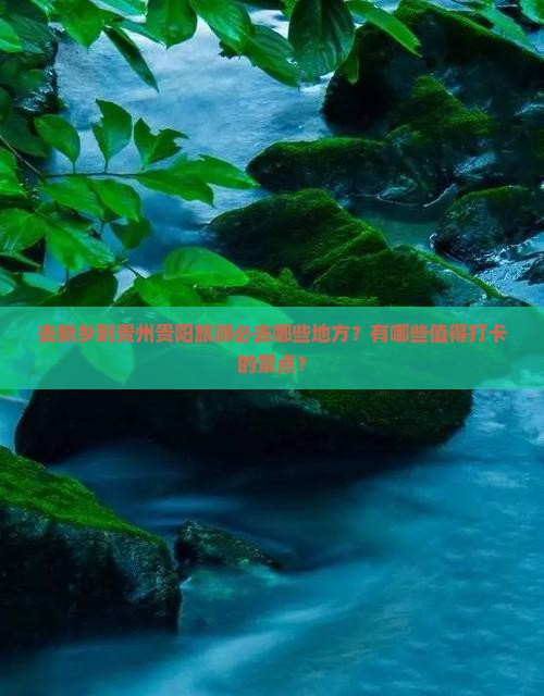 去新乡到贵州贵阳旅游必去哪些地方？有哪些值得打卡的景点？