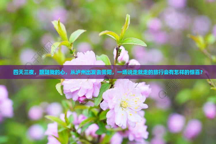 四天三夜，跟随我的心，从泸州出发去贵阳，一场说走就走的旅行会有怎样的惊喜？