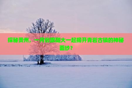 探秘贵州，一月份跟随大一起揭开青岩古镇的神秘面纱？