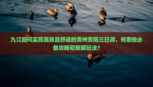 九江如何实现高效且舒适的贵州贵阳三日游，有哪些必备攻略和新颖玩法？