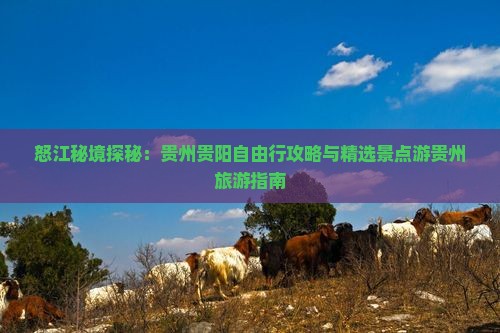 怒江秘境探秘：贵州贵阳自由行攻略与精选景点游贵州旅游指南