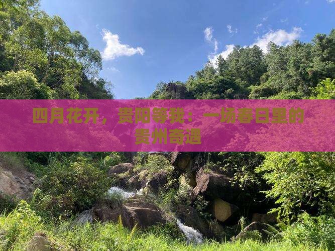 四月花开，贵阳等我：一场春日里的贵州奇遇