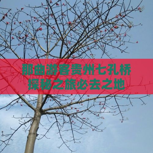 那曲游客贵州七孔桥探秘之旅必去之地