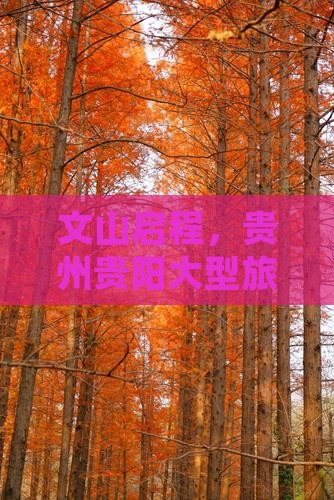 文山启程，贵州贵阳大型旅游团畅游黔贵风光
