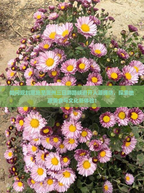 如何规划恩施至贵州三日游路峡避开人潮拥挤，探索地道美食与文化新体验！
