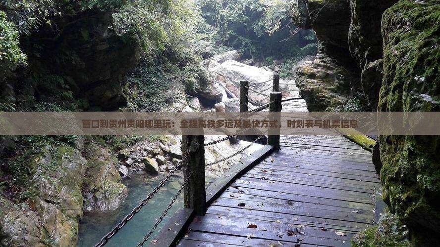 营口到贵州贵阳哪里玩：全程高铁多远及最快方式，时刻表与机票信息