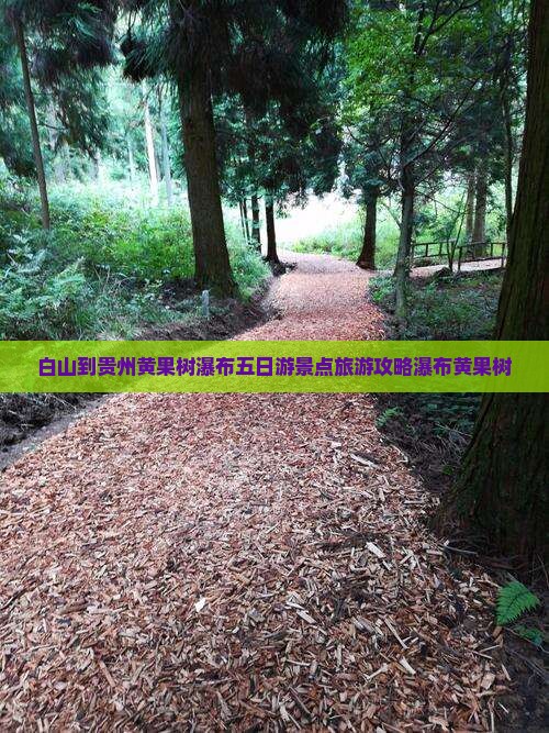 白山到贵州黄果树瀑布五日游景点旅游攻略瀑布黄果树