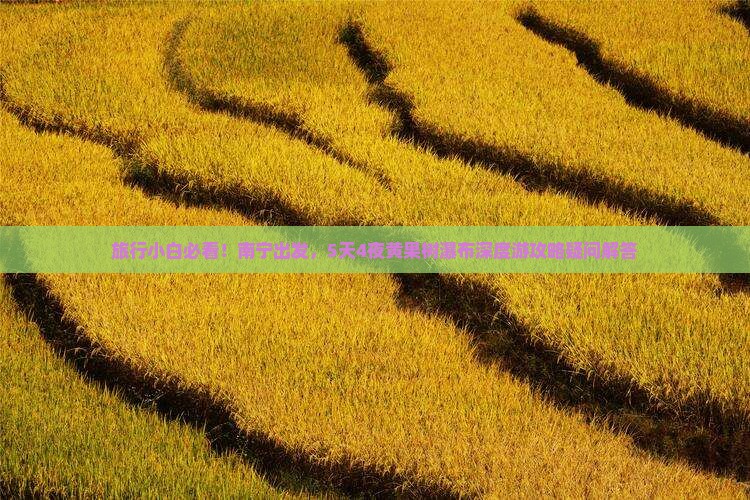 旅行小白必看！南宁出发，5天4夜黄果树瀑布深度游攻略疑问解答