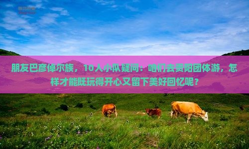 朋友巴彦倬尔族，10人小队疑问：咱们去贵阳团体游，怎样才能既玩得开心又留下美好回忆呢？