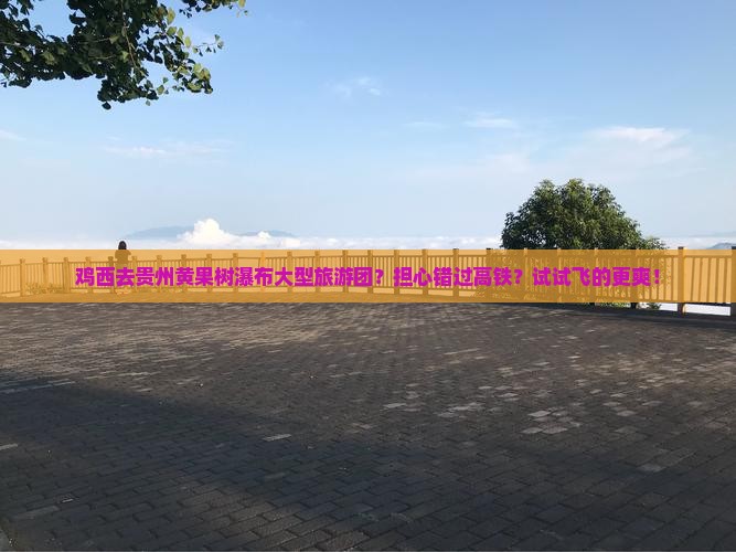 鸡西去贵州黄果树瀑布大型旅游团？担心错过高铁？试试飞的更爽！