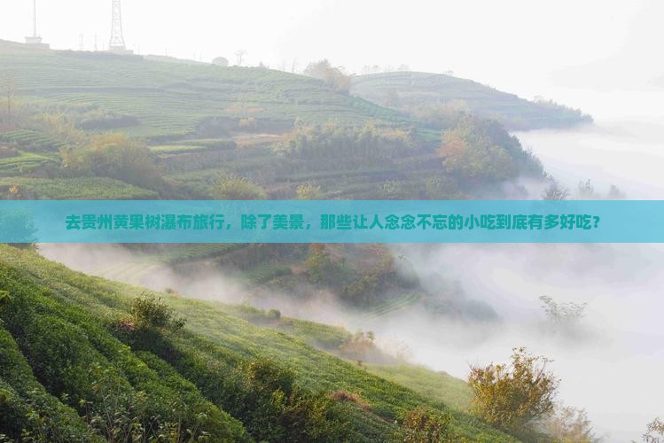 去贵州黄果树瀑布旅行，除了美景，那些让人念念不忘的小吃到底有多好吃？