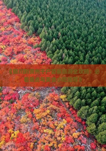 《银川到贵州千户苗寨旅游全攻略：必看景点与美食小吃推荐》