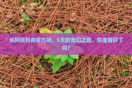 从阿坝到青岩古镇，5天的奇幻之旅，你准备好了吗？