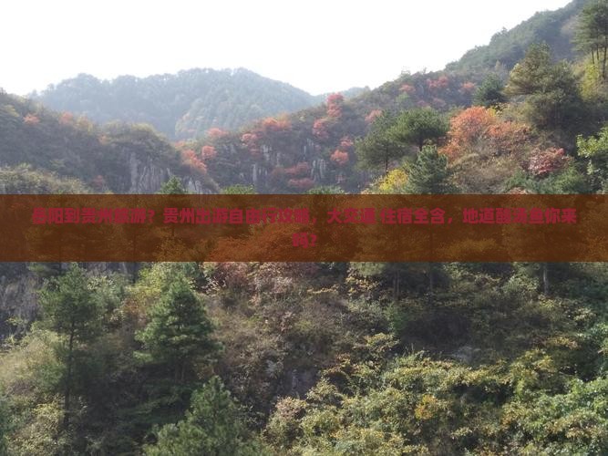 岳阳到贵州旅游？贵州出游自由行攻略，大交通+住宿全含，地道酸汤鱼你来吗？