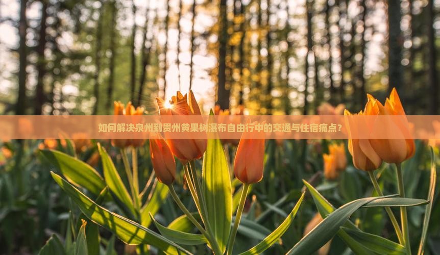 如何解决泉州到贵州黄果树瀑布自由行中的交通与住宿痛点？