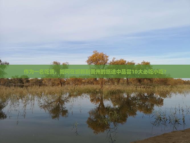 作为一名吃货，如何在邯郸到贵州的旅途中品尝10大必吃小吃？
