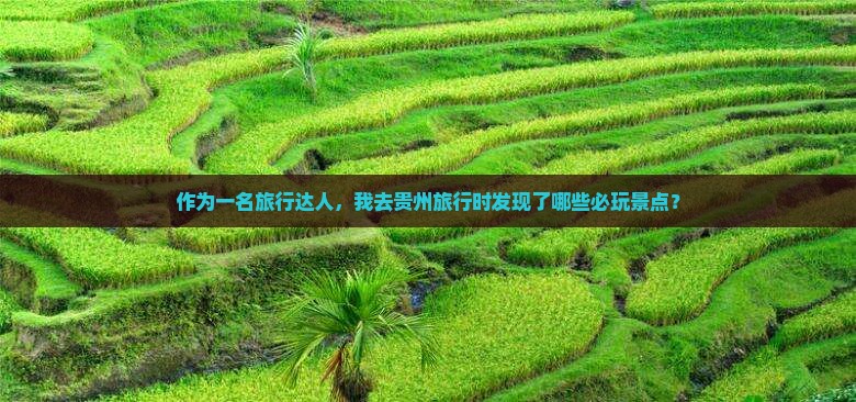 作为一名旅行达人，我去贵州旅行时发现了哪些必玩景点？