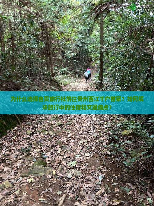 为什么选择自贡旅行社前往贵州西江千户苗寨？如何解决旅行中的住宿和交通痛点？