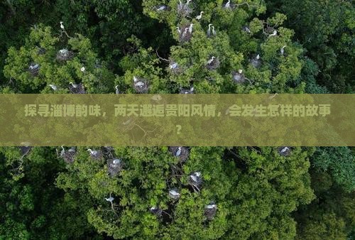 探寻淄博韵味，两天邂逅贵阳风情，会发生怎样的故事？