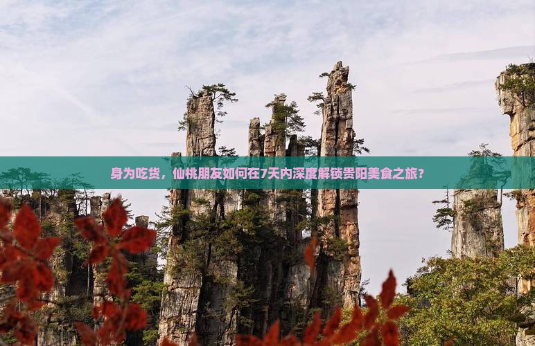 身为吃货，仙桃朋友如何在7天内深度解锁贵阳美食之旅？