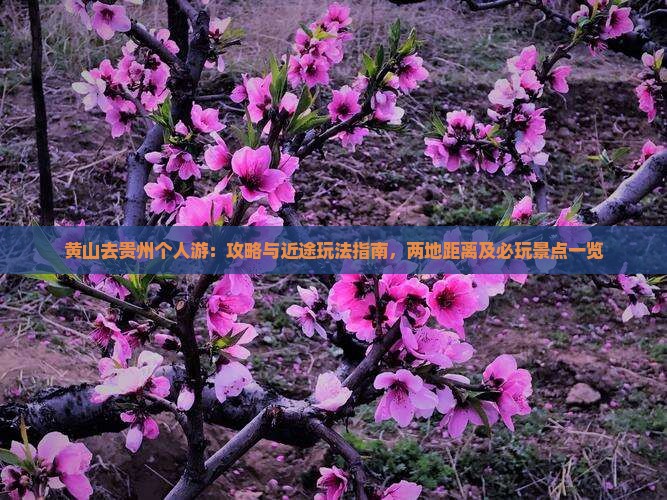 黄山去贵州个人游：攻略与近途玩法指南，两地距离及必玩景点一览