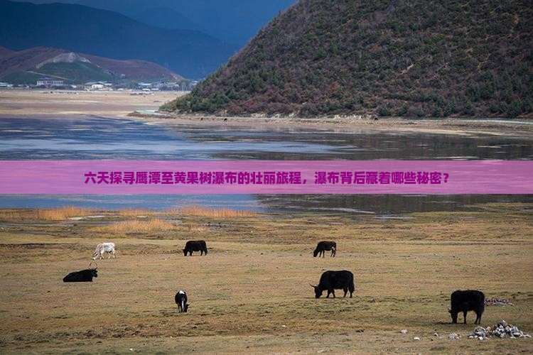 六天探寻鹰潭至黄果树瀑布的壮丽旅程，瀑布背后藏着哪些秘密？