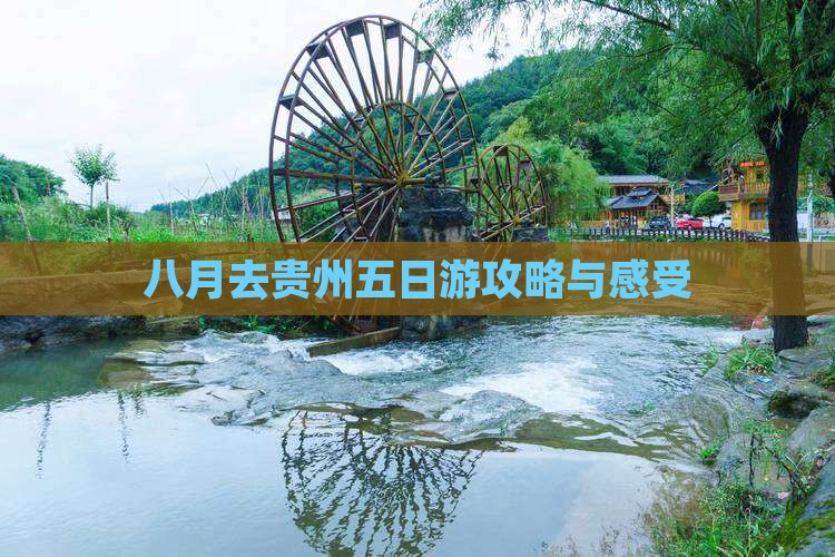 八月去贵州五日游攻略与感受