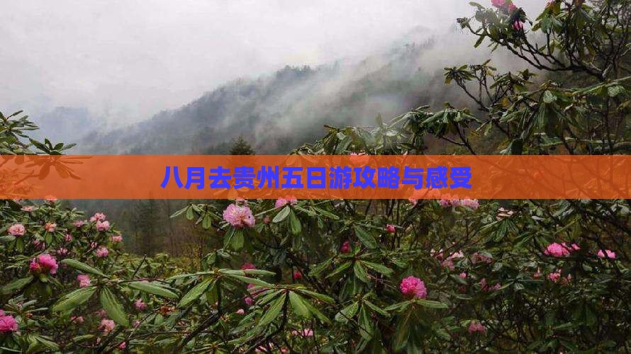 八月去贵州五日游攻略与感受