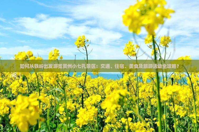 如何从铁岭出发游览贵州小七孔景区：交通、住宿、美食及旅游活动全攻略？