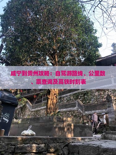 咸宁到贵州攻略：自驾游路线、公里数、票查询及高铁时刻表