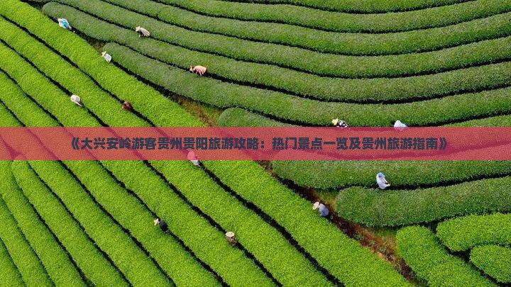 《大兴安岭游客贵州贵阳旅游攻略：热门景点一览及贵州旅游指南》