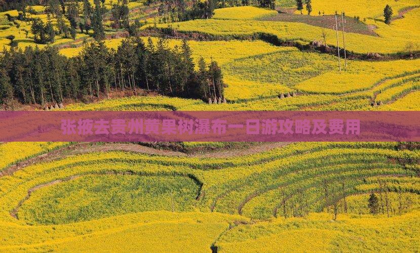 张掖去贵州黄果树瀑布一日游攻略及费用