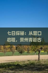 七日探秘：从营口启程，贵州青岩古镇藏着哪些古老故事？