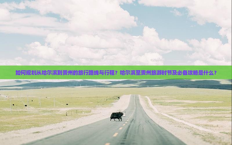 如何规划从哈尔滨到贵州的旅行路线与行程？哈尔滨至贵州旅游时节及必备攻略是什么？