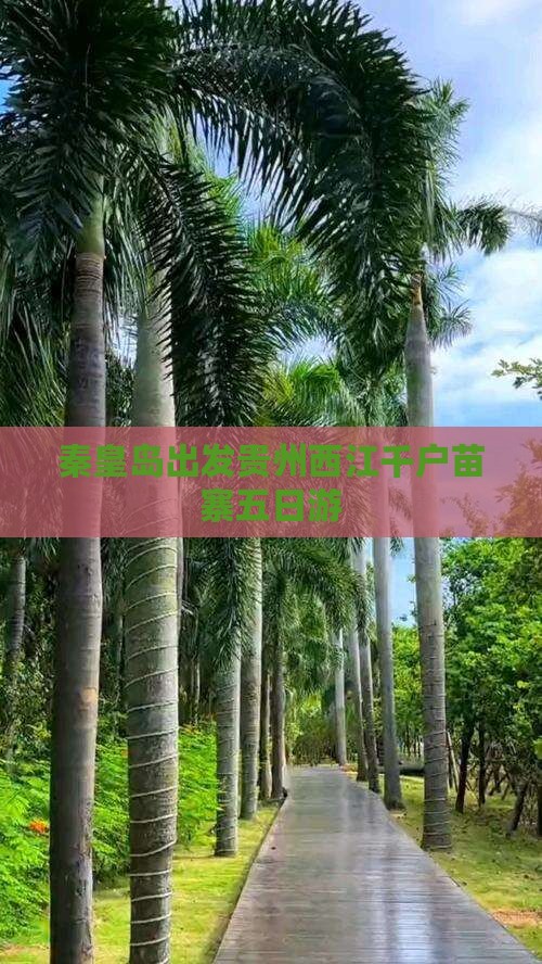 秦皇岛出发贵州西江千户苗寨五日游