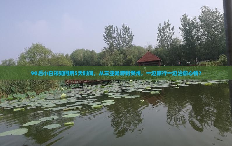 90后小白领如何用5天时间，从三亚畅游到贵州，一边旅行一边治愈心情？