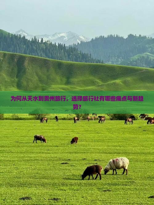 为何从天水到贵州旅行，选择旅行社有哪些痛点与新趋势？