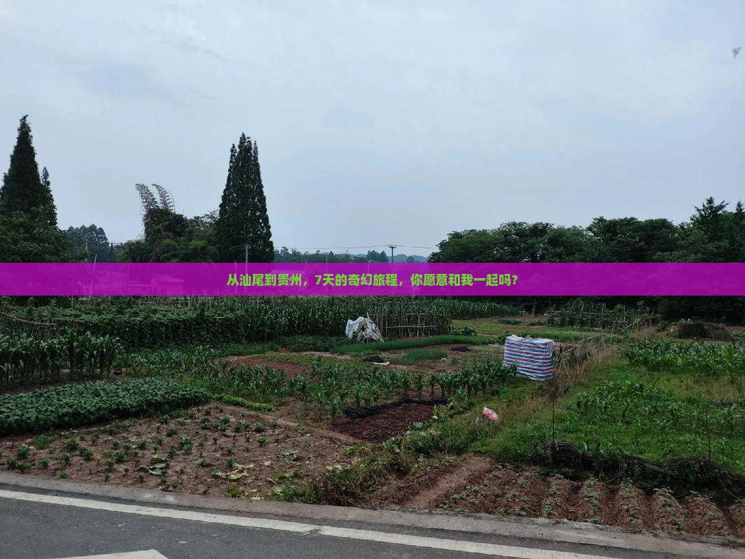 从汕尾到贵州，7天的奇幻旅程，你愿意和我一起吗？