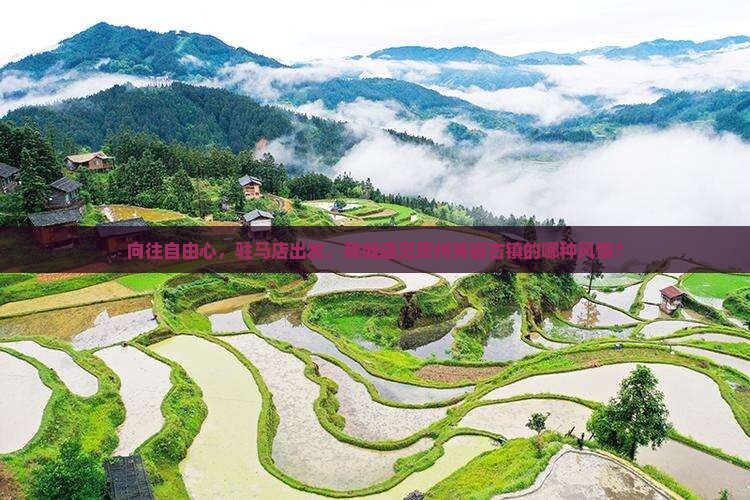 向往自由心，驻马店出发，我能遇见贵州青岩古镇的哪种风情？