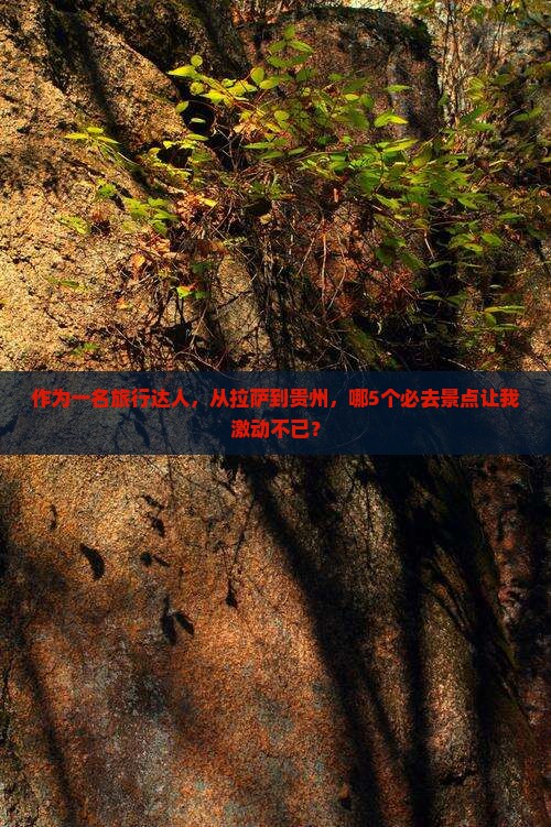作为一名旅行达人，从拉萨到贵州，哪5个必去景点让我激动不已？