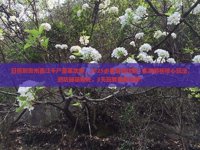 日照到贵州西江千户苗寨攻略