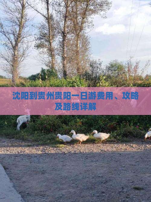 沈阳到贵州贵阳一日