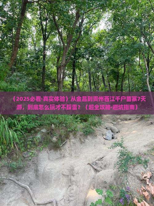 金昌到贵州西江千户苗寨七日游