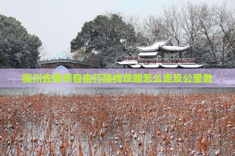 铜川去贵州自由行