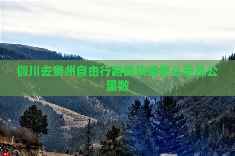 铜川去贵州自由行