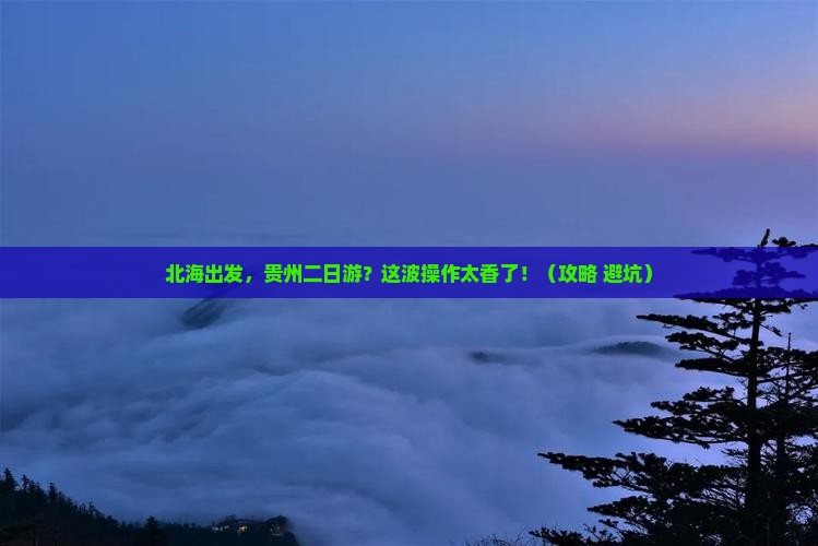 北海到贵州二日游