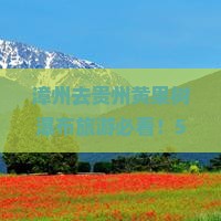 漳州到贵州黄果树瀑布旅游小吃