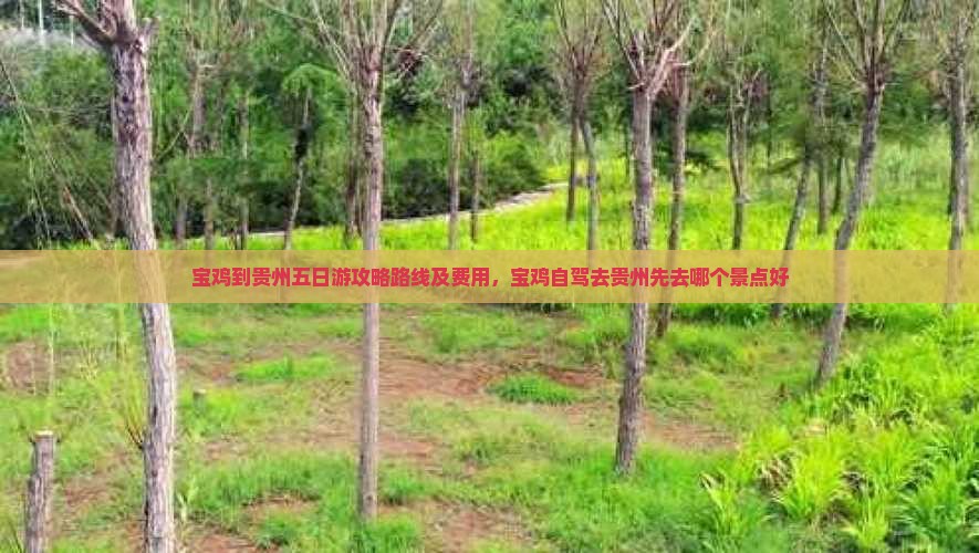 宝鸡到贵州五日游