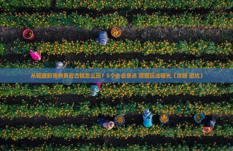 昭通去贵州青岩古镇哪里玩